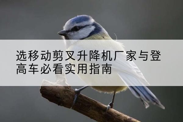 汤原电动升降机厂家-选移动剪叉升降机厂家与登高车必看实用指南