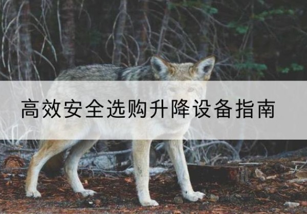 汤原升降货梯厂家推荐-*安全选购升降设备指南