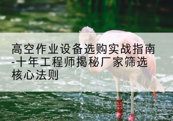 汤原剪叉式升降机厂家-高空作业设备选购实战指南-十年工程师揭秘厂家筛选核心法则